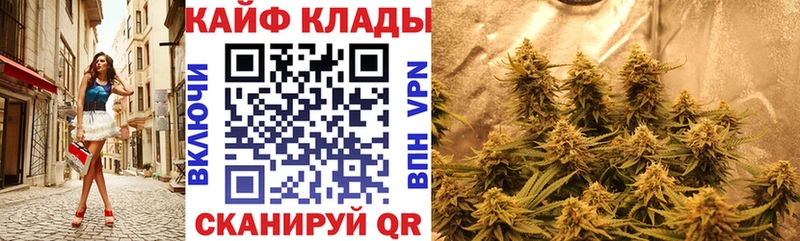 Галлюциногенные грибы Североуральск
