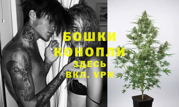 прущие крисы Надым