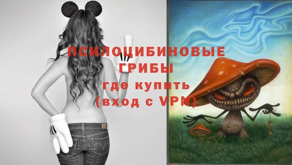 марки nbome Нефтекумск