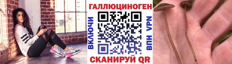 Псилоцибиновые грибы прущие грибы  Североуральск 